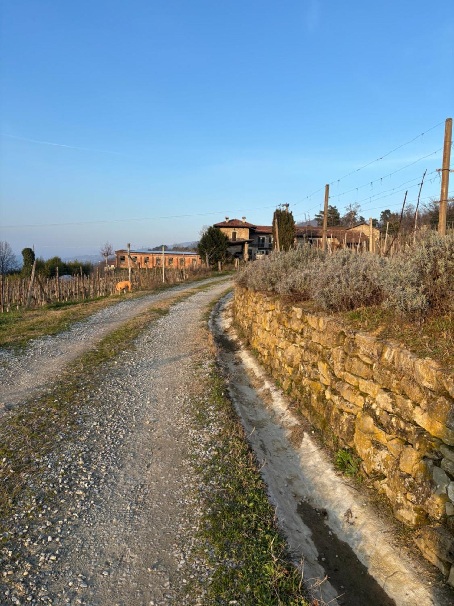 Agriturismo Tenuta San Giuseppe Cossano Belbo Dış mekan fotoğraf