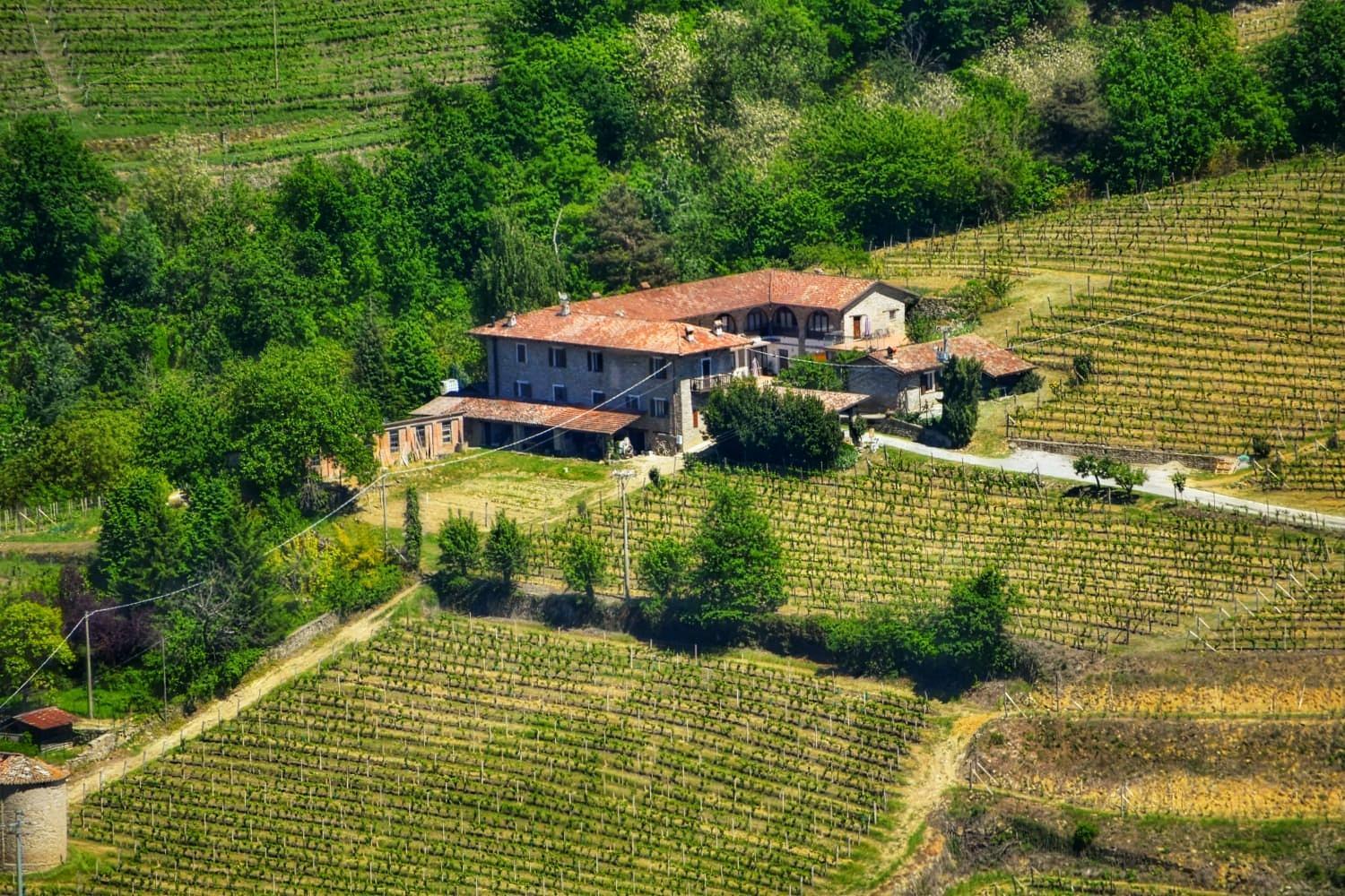 Agriturismo Tenuta San Giuseppe Cossano Belbo Dış mekan fotoğraf